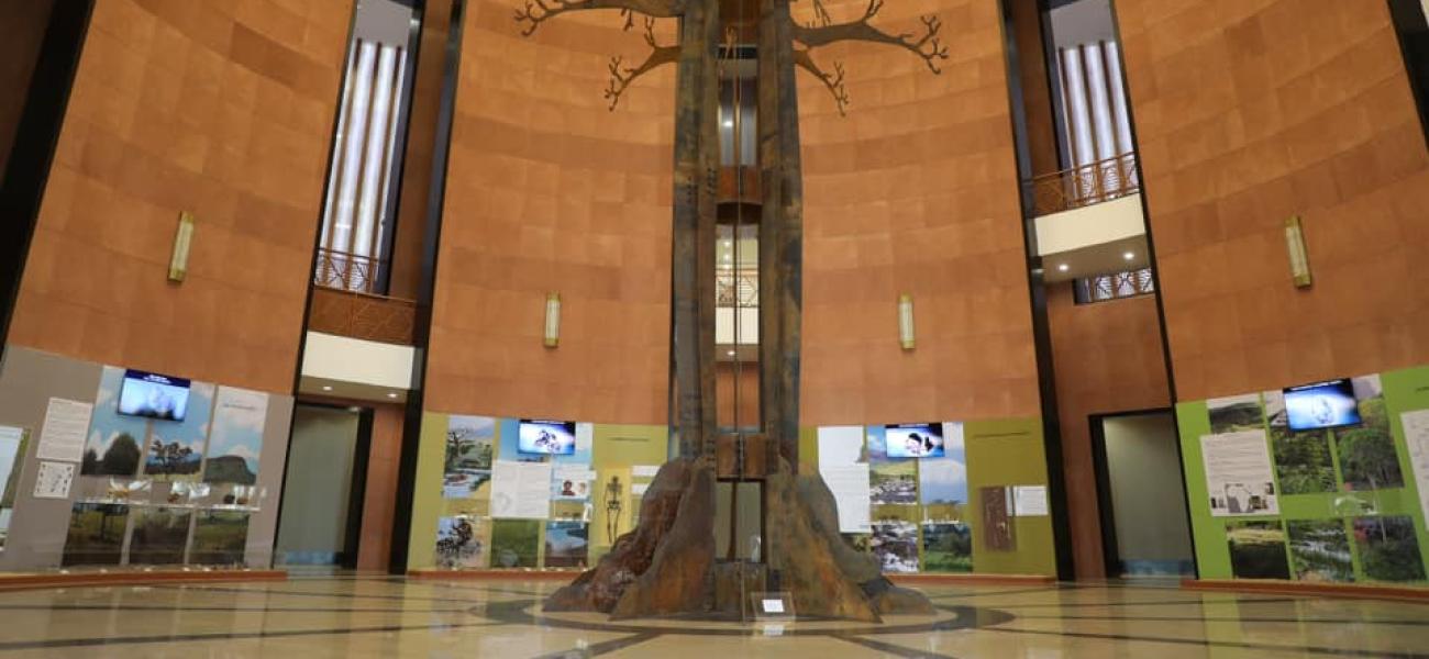 Musée des Civilisations Noires